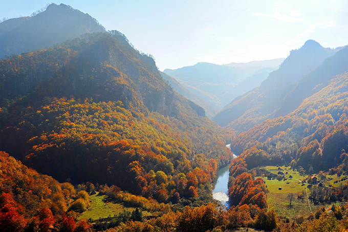 Осень в каньоне реки Тара, Черногория